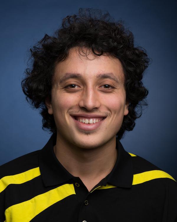 Amine Koubaa