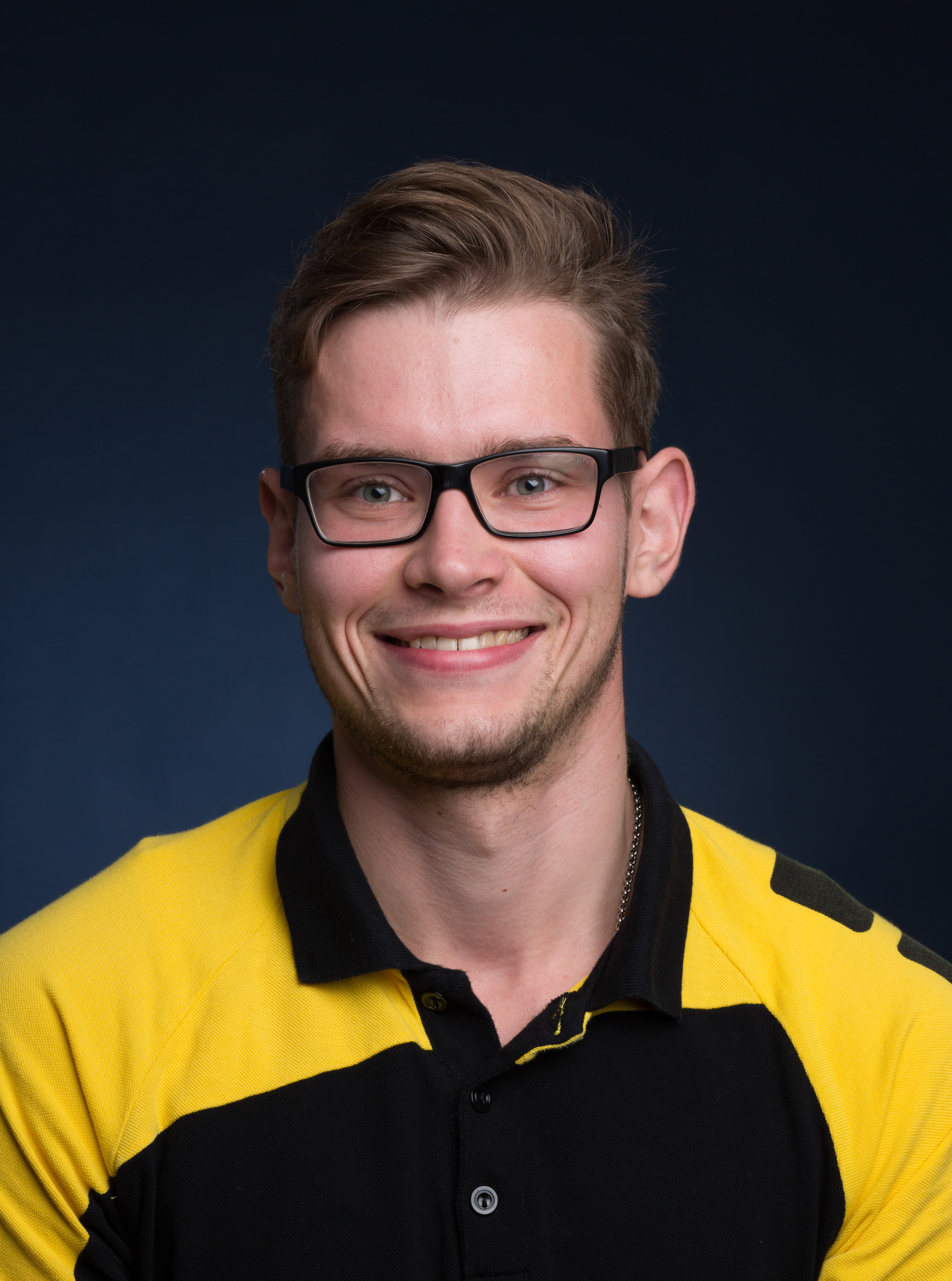 Steffen Link